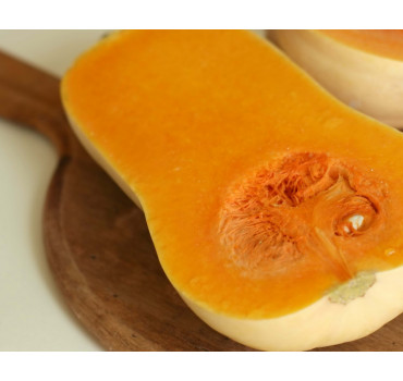 Гарбуз АТЛАС F1, Sakata