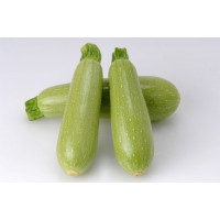 Кабачок Азіад F1, Sakata