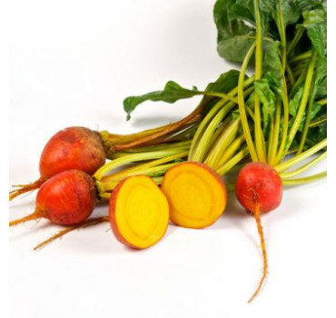 Буряк Голден Ай, Sakata