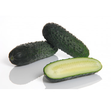 Огірок ХЕЛЕН F1, Sakata