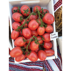 Томат ПІНК ПІОНЕР F1, Sakata