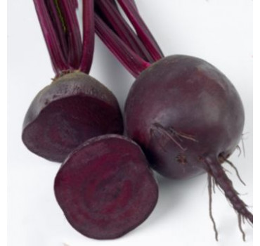 Буряк Ред Хавк F1, Sakata