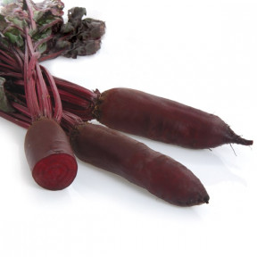 Буряк Родена F1, Sakata