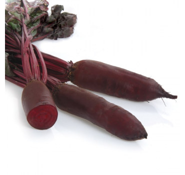 Буряк Родена F1, Sakata