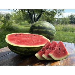 Кавун СЕЛЕСТ F1, Sakata