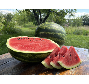 Кавун СЕЛЕСТ F1, Sakata