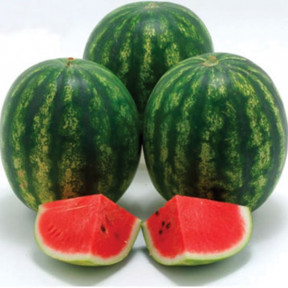 Кавун Кріспід F1, Sakata