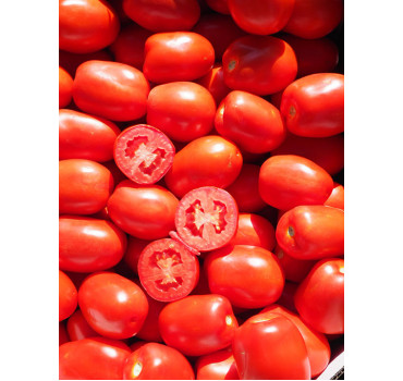 Томат Сентоса F1/Sentosa F1, Seminis