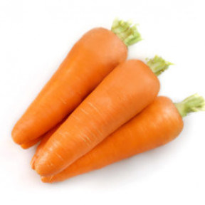 Морква Лес Сайнтес F1, Seminis