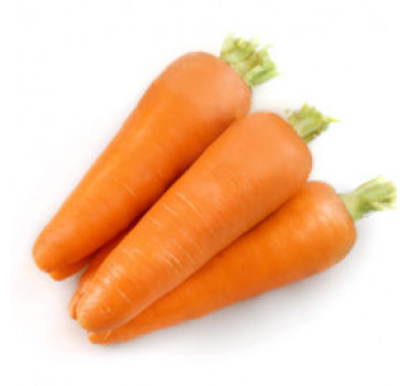 Морква Лес Сайнтес F1, Seminis