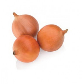 Цибуля Міссісіпі F1 / Mississippi F1, Seminis