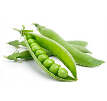 Горох Бінго, Syngenta