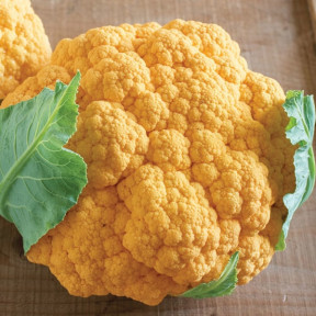 Капуста цветная Флейм Стар F1, Syngenta Капуста цветная Флейм Стар F1, Syngenta