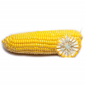 Кукурудза ГСС3071 F1, Syngenta 100000 насінин Кукурудза ГСС3071 F1, Syngenta 100000 насінин