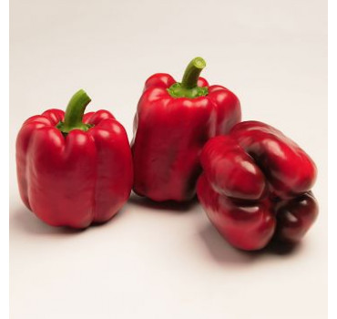 Перець Крусадер F1, Syngenta