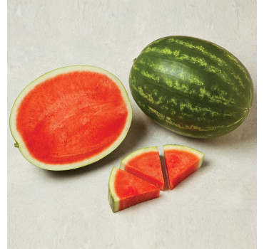 Кавун Фасинейшн F1, Syngenta