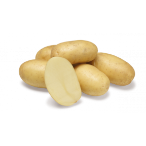 Картопля насіннєва Джолін 1 репродукція, Agrico