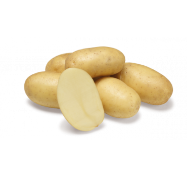 Картопля насіннєва Джолін 1 репродукція, Agrico