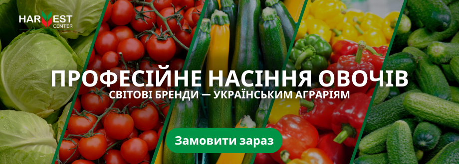 Професійне   насіння овочі
