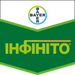 Інфініто – фунгіцид, Bayer Інфініто – фунгіцид, Bayer