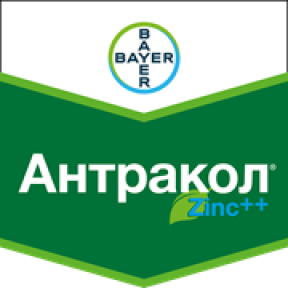Антракол 70 WP – фунгіцид, Bayer Антракол 70 WP – фунгіцид, Bayer