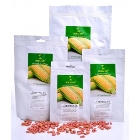 Герміона F1 – цукрова кукурудза, МНАГОР