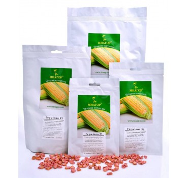 Герміона F1 – цукрова кукурудза, МНАГОР