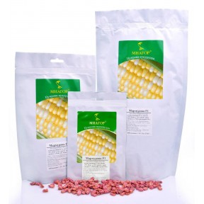 Мармурова F1 – цукрова кукурудза, МНАГОР