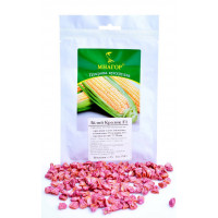 Білий Кролик F1 – цукрова кукурудза, МНАГОР