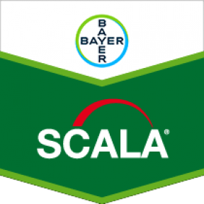 Скала – фунгіцид, Bayer Скала – фунгіцид, Bayer