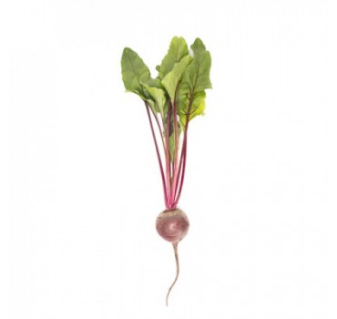 Буряк Бетті, Rijk Zwaan