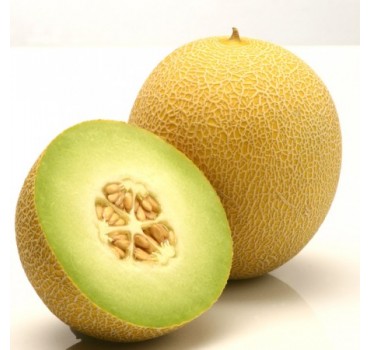 Диня Джукар F1, Rijk Zwaan