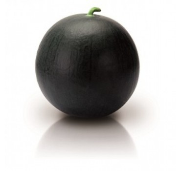 Кавун Тітанія F1, Rijk Zwaan