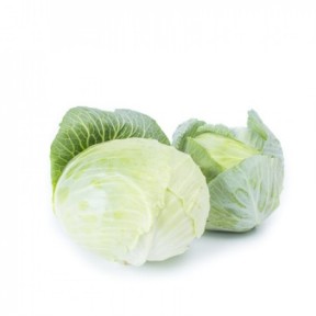 Капуста Джинтама F1, Rijk Zwaan