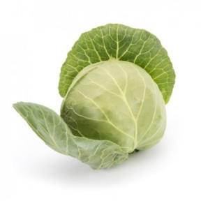 Капуста Пушма F1, Rijk Zwaan