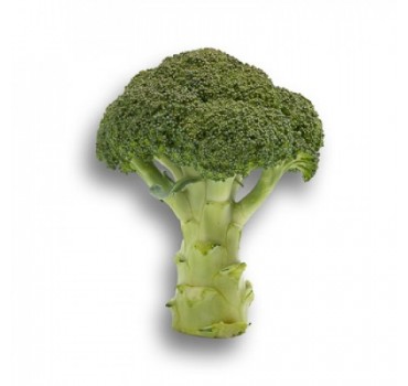 Капуста броколі Агасі F1, Rijk Zwaan