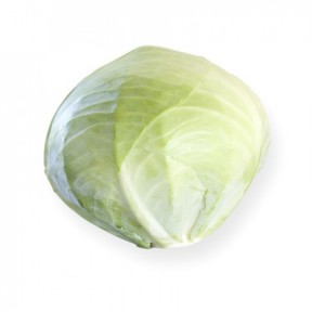 Капуста Муксума F1, Rijk Zwaan