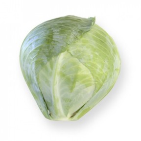 Капуста Сторема F1, Rijk Zwaan