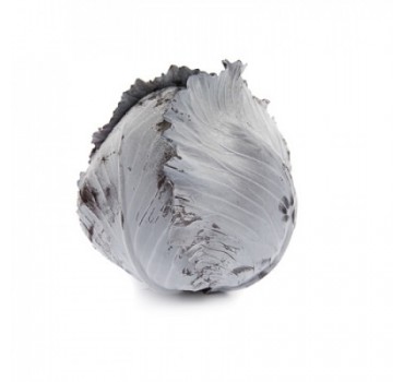 Капуста Рексома F1, Rijk Zwaan