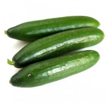 Огірок Мертус F1, Rijk Zwaan Огірок Мертус F1, Rijk Zwaan