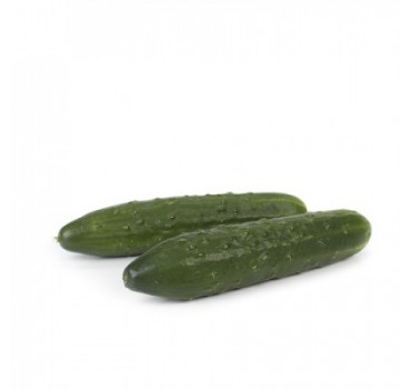 Огірок Святогор F1, Rijk Zwaan Огірок Святогор F1, Rijk Zwaan