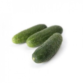 Огірок Чайковський F1, Rijk Zwaan