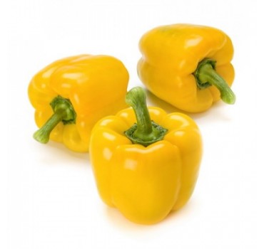 Перець солодкий Іланга F1, Rijk Zwaan