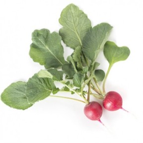 Редис Валері F1, Rijk Zwaan