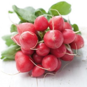 Редис Ронділ, Rijk Zwaan