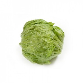 Салат Діамантінас, Rijk Zwaan