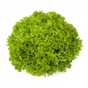 Салат Екзет, Rijk Zwaan Салат Екзет, Rijk Zwaan