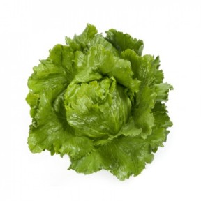 Салат Сантарінас, Rijk Zwaan Салат Сантарінас, Rijk Zwaan