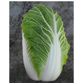 Капуста пекінська Пацифіко F1, Bejo