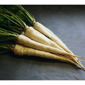 Петрушка коренева Арат, Bejo